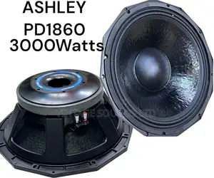 Ashley Pd1860 18” Subwoofer Bass Speaker W/152voice COIL
