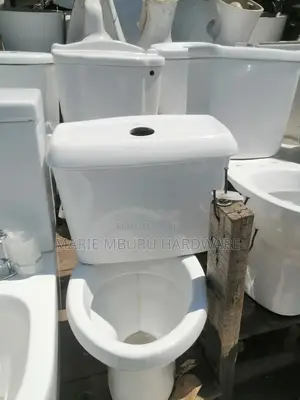 Top Flash Toilet