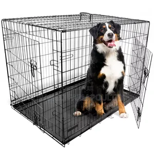 Dog Crates Mature