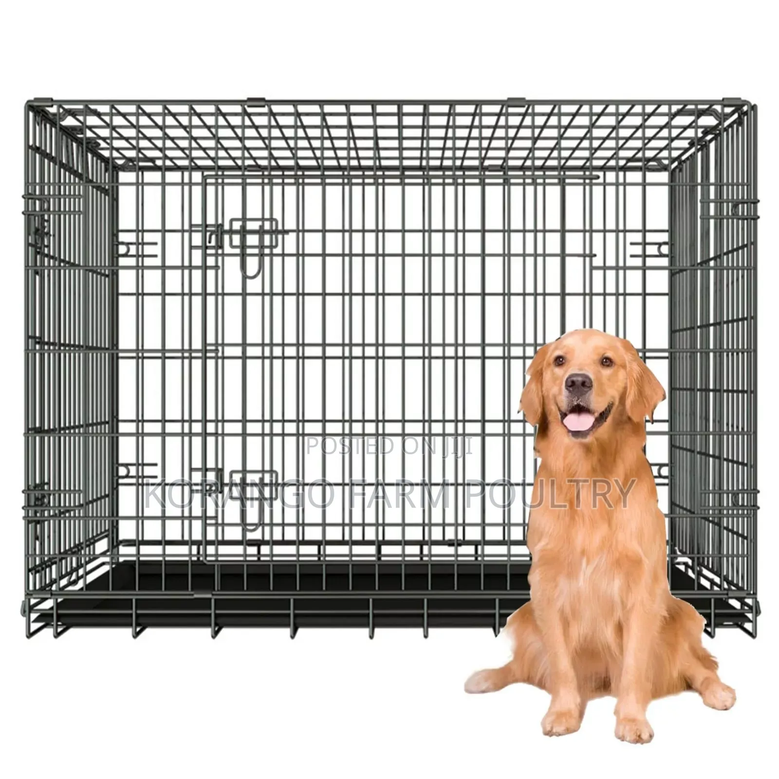 Mature German Shepherd Cages