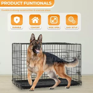 Chihuahua Foldable Crates