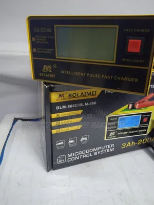 Bolaimei 3200ah Battery Charger 12v/24v