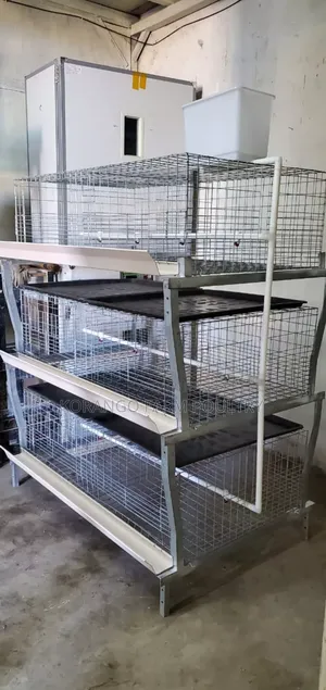Broiler Type Chicken Cages