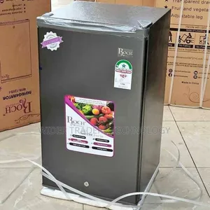 Roch Single Door Refrigerator 90 Litres RFR-120S-I – Silver