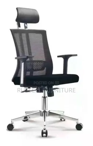 Orthopaedic Office Chair