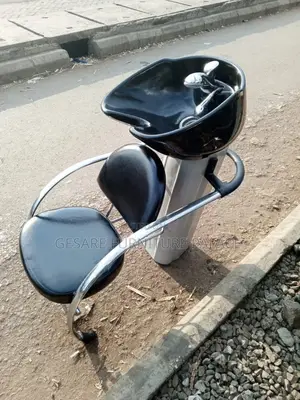 Executive Salon Sink