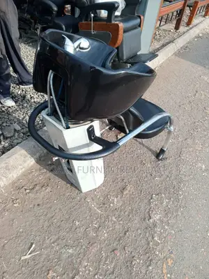 Executive Salon Sink