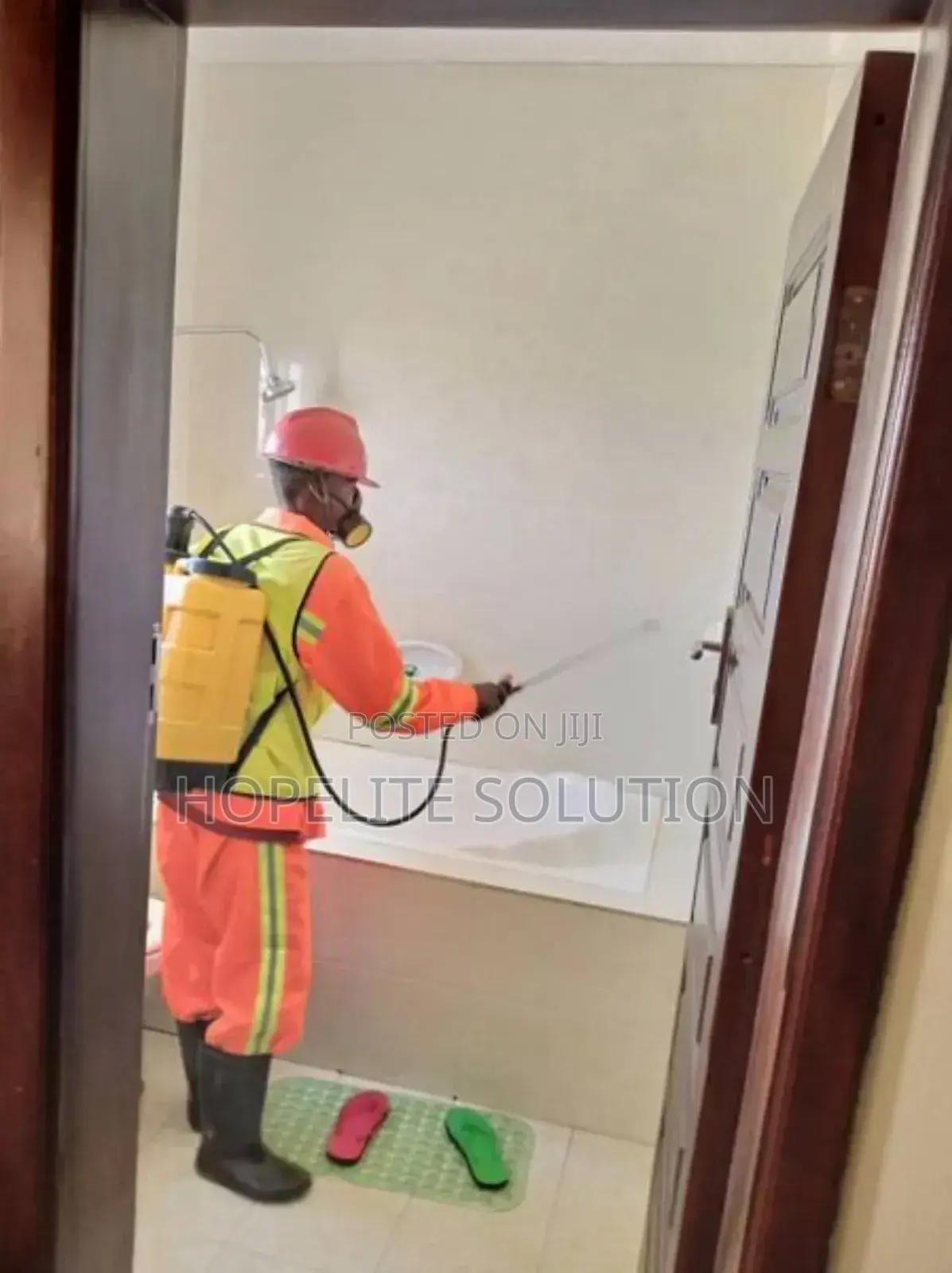 Expert Cockroaches, Mosquitoes, Bedbugs and Other Pests