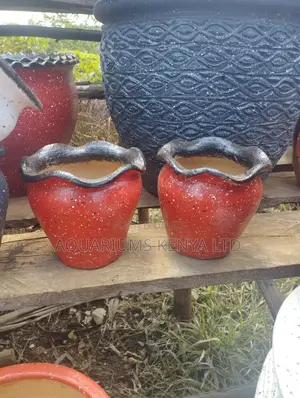 Succulents Clay Pots