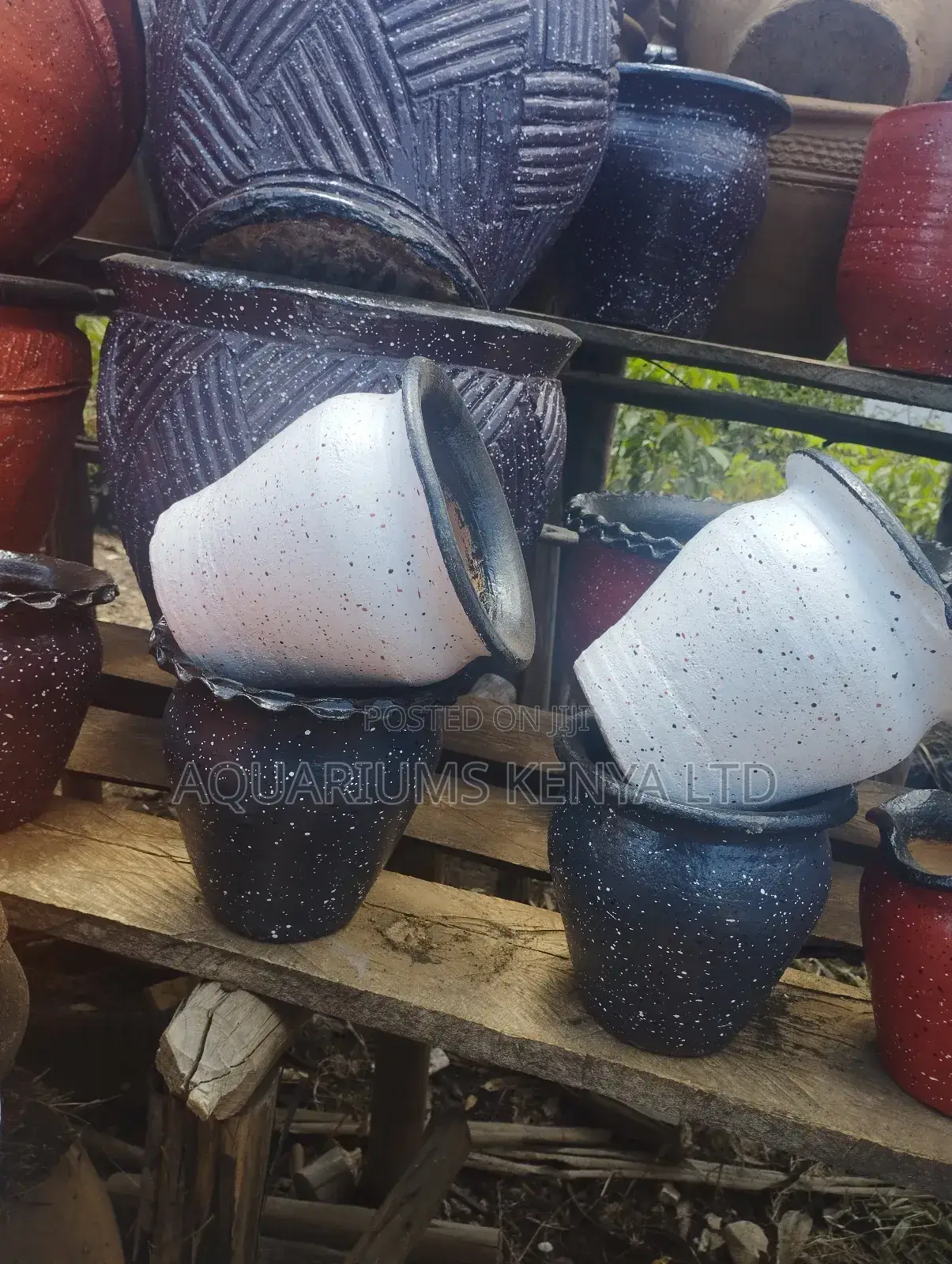 Succulents Clay Pots
