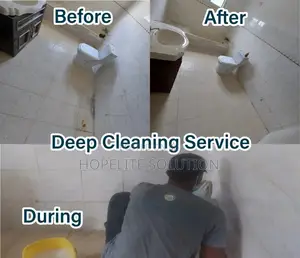 Deep Toilet Bowl Cleaning Services