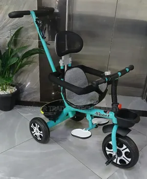 Push Tricycle With Detachable Handle