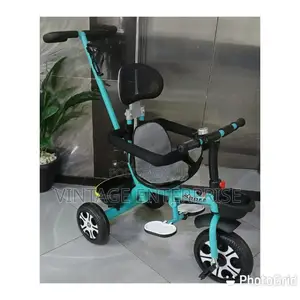 Push Tricycle With Detachable Handle