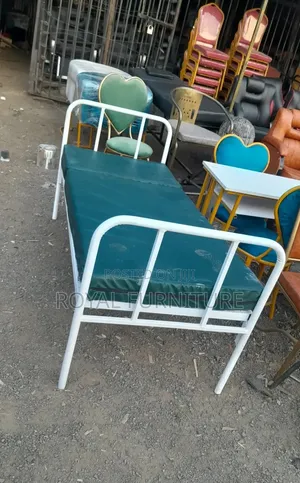 Hospital Patients Bed