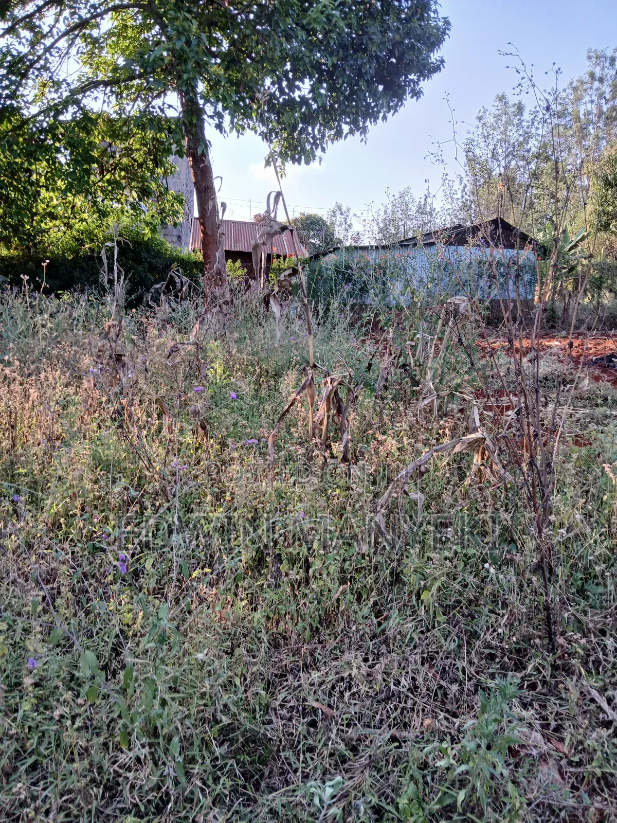Plot for Sale
