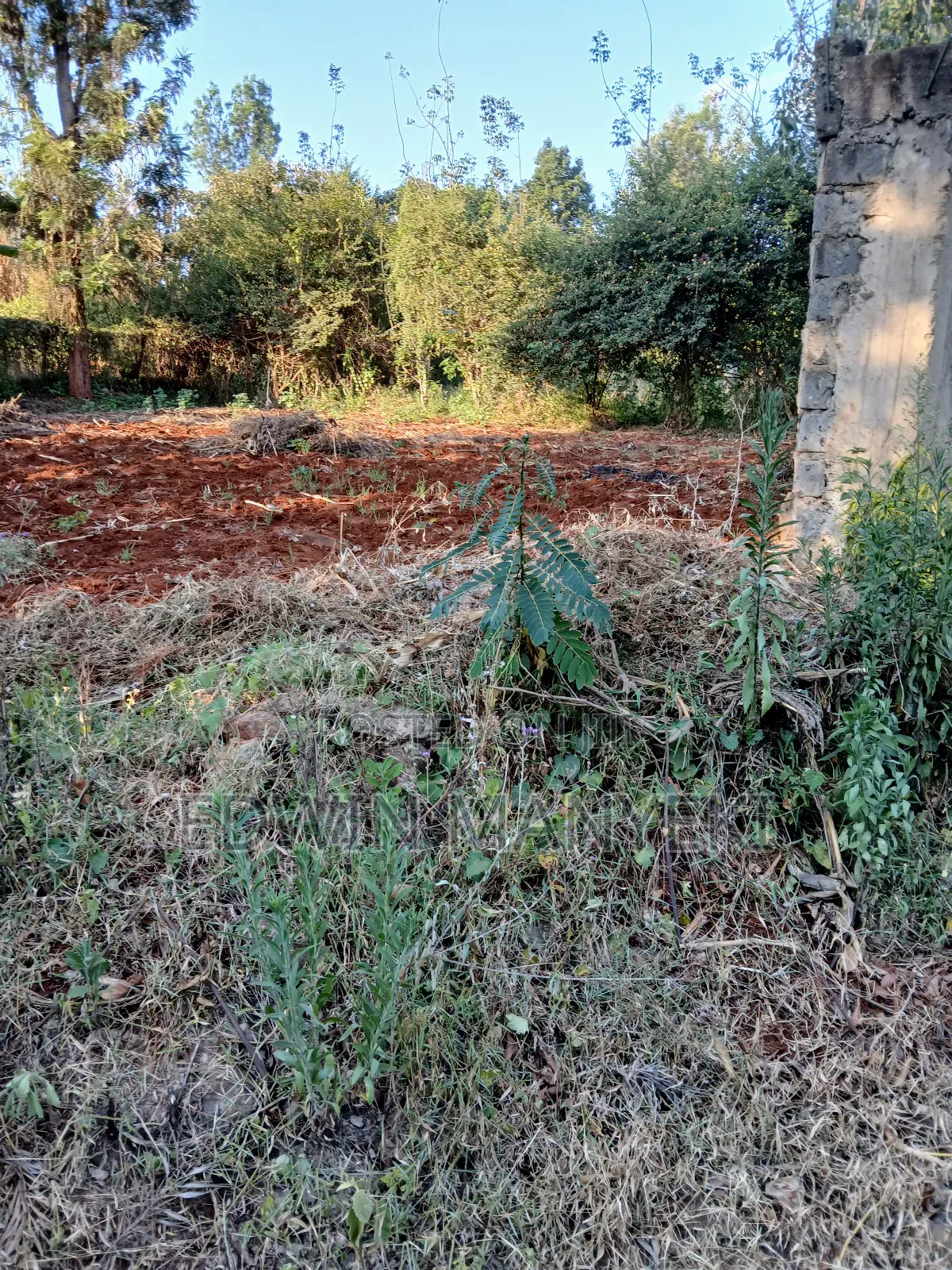 Plot for Sale
