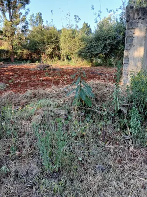 Plot for Sale