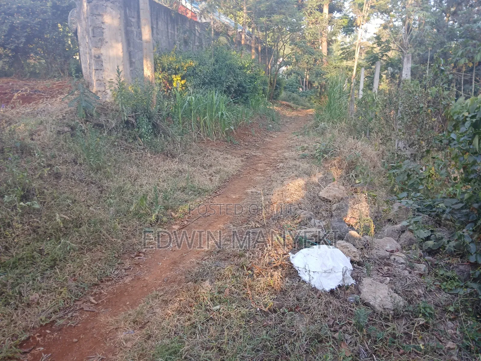 Plot for Sale