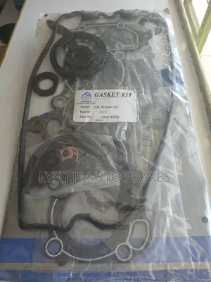Engine Overhaul Gasket-Cg10de.