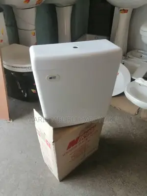 Automatic Cistern of Urinal