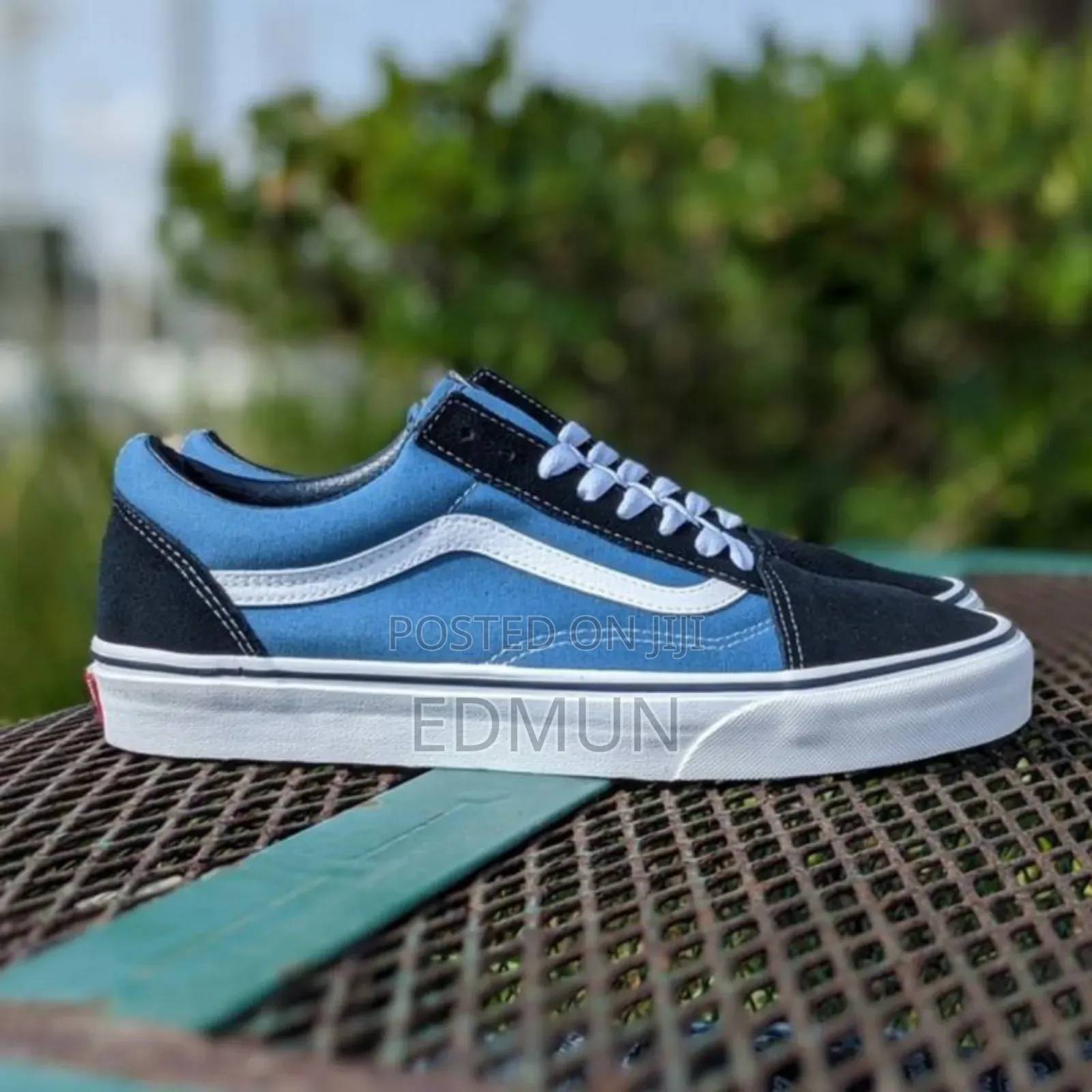Blue Skater Vans