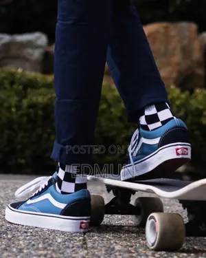 Blue Skater Vans