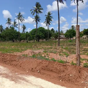 Chumani Kilifi 50 by 100 Ft Plots