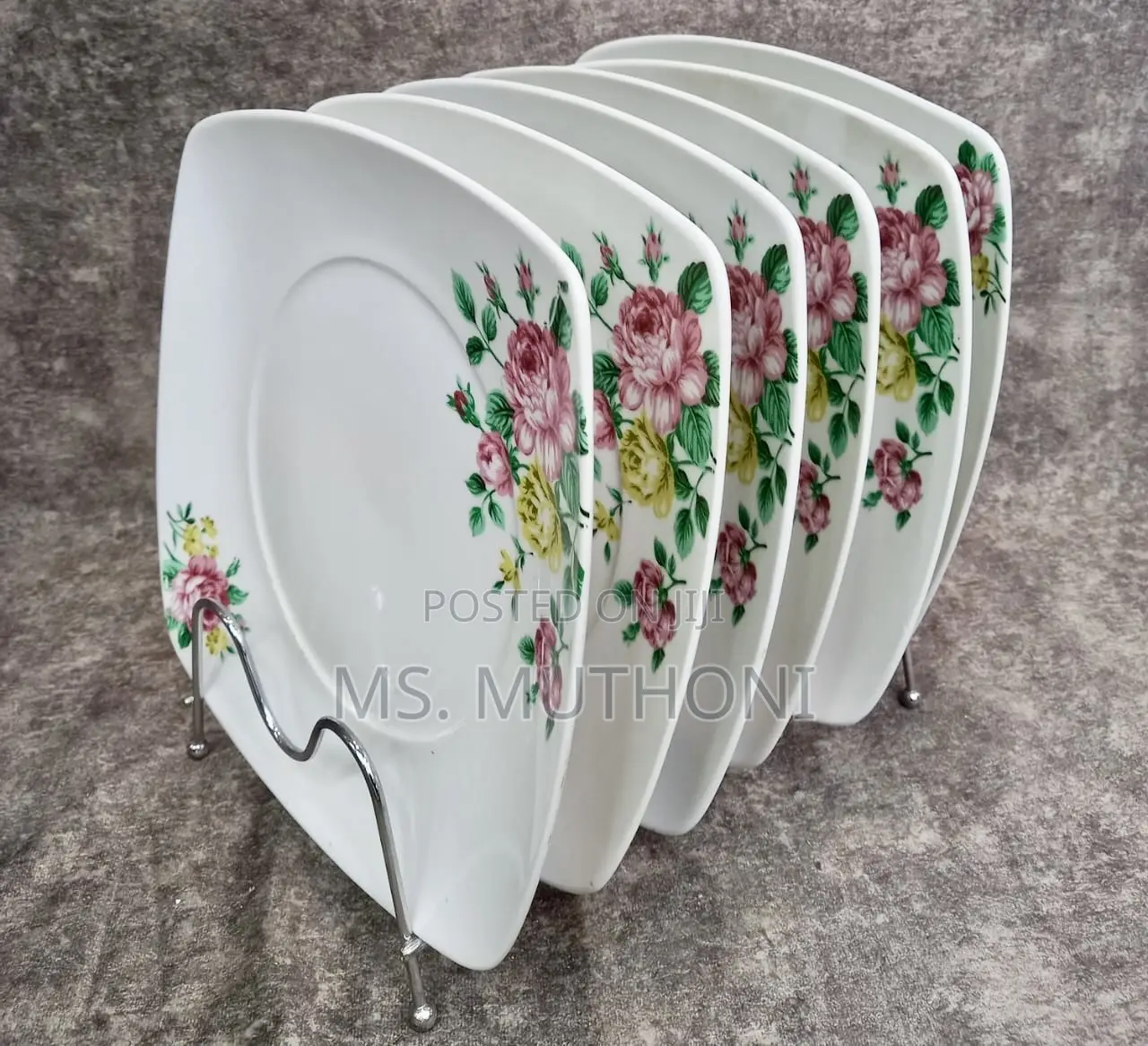 6 Ceramic Dinner Plates