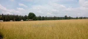 50 Acres at Ngata