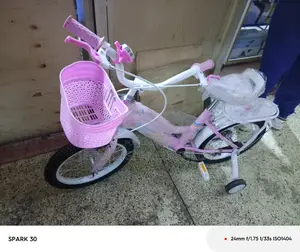 Kids Bike Size 12