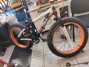 Fire Trek Fat Bicycle