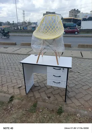 Mesh Eames Chair