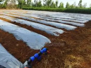 Film Mulching Paper