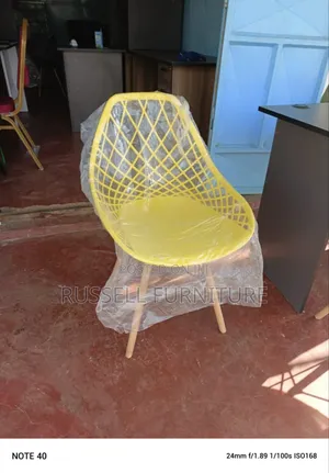 Imported Eames Chair