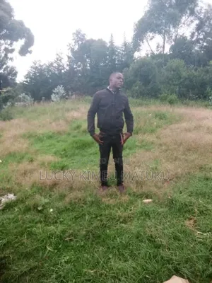 I Need Job