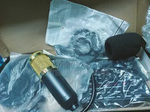 Pc Karaoke Voice Recording Condenser Microphone