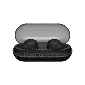 Sony WF-C500 Wireless in-Ear Bluetooth Earbud Headphones