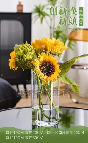 Modern Creative Clear Glass Vase