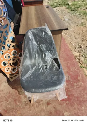 Imported Eames Chair