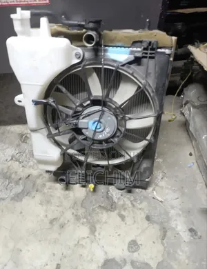 Passo New Model Complete Radiator