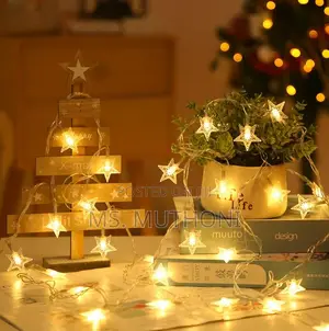 Star Shaped Christmas Lights*