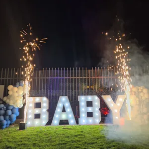 Boy or Girl Gender Reveal Surprise