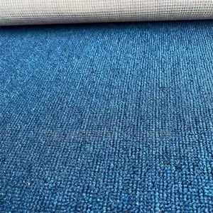 Light Blue Carpet