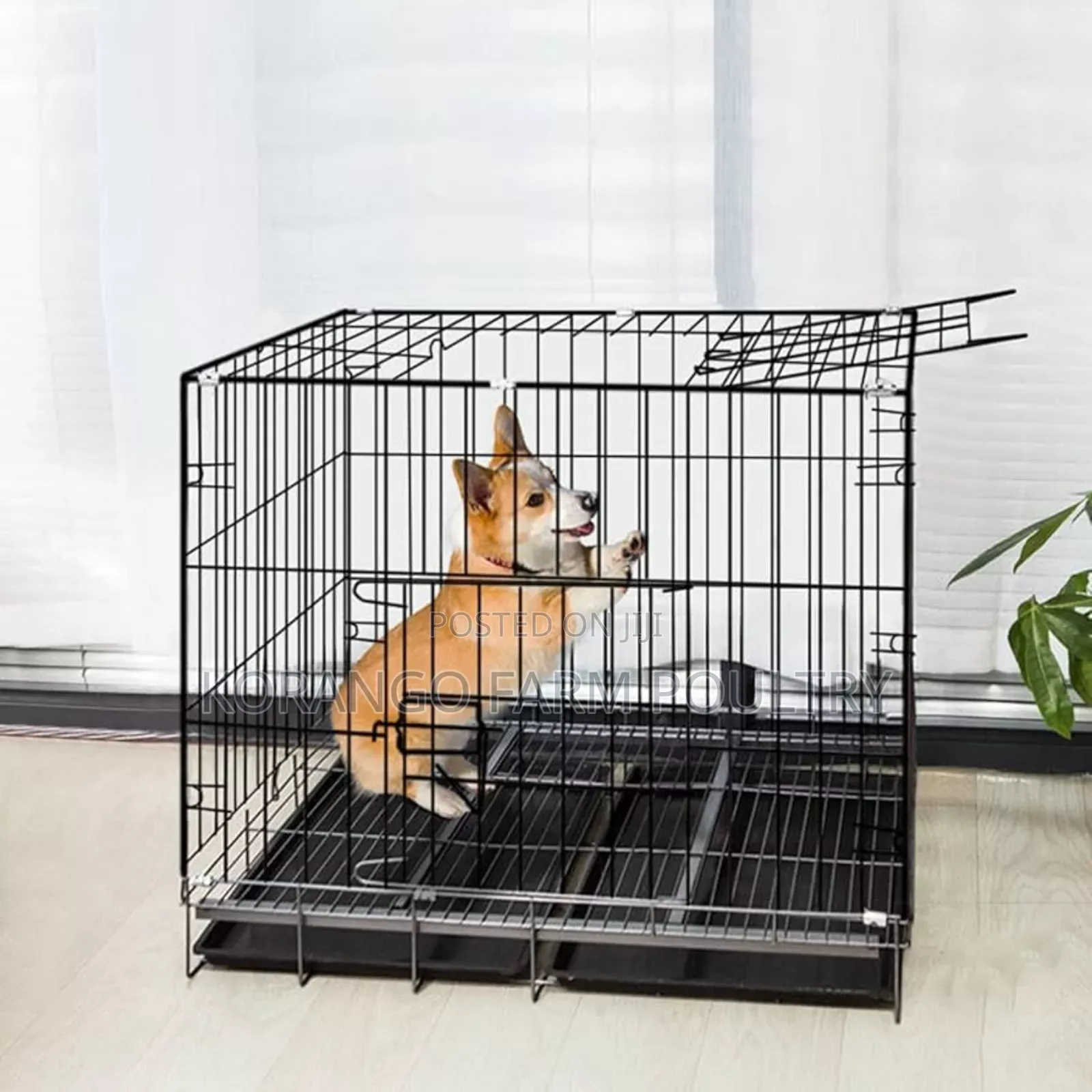 Foldable Pets Crates
