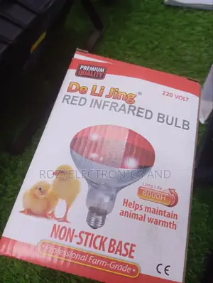 Chicken Infrared Bulb