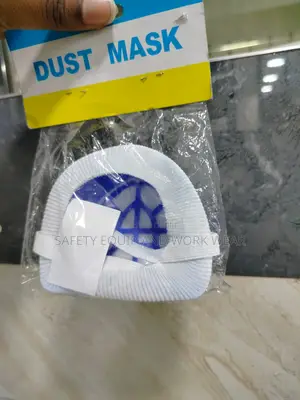 Filter Dust Mask