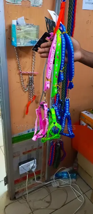 Dog Leash Small
