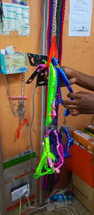 Small Dog Leash (Dog Leash)