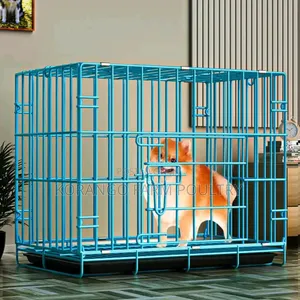 Rabbit Cats Puppies Crate