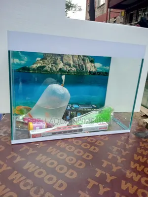 Small White Aquarium With Fish and Deco
